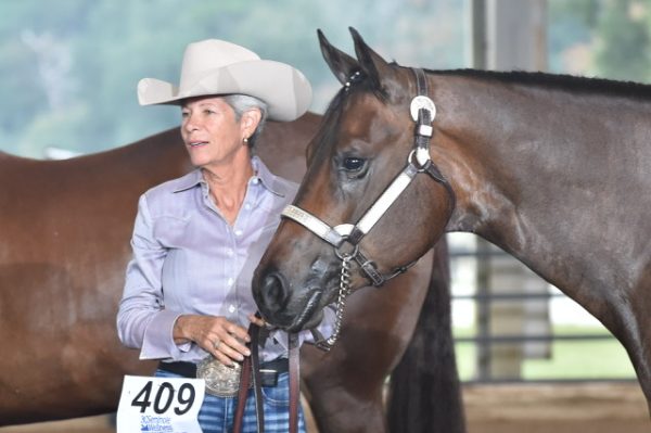 Around the Rings – 2023 Florida QHA Last Chance Show
