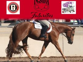 2024 Sun Circuit NSBA Futurity Class Offerings