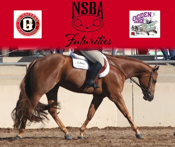 2024 Sun Circuit NSBA Futurity Class Offerings