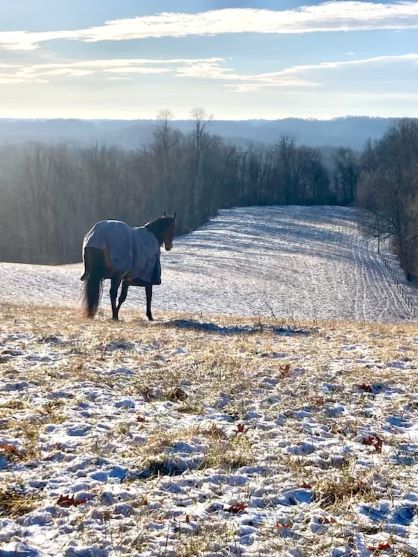 EC Photo of the Day – The Cold of Winter