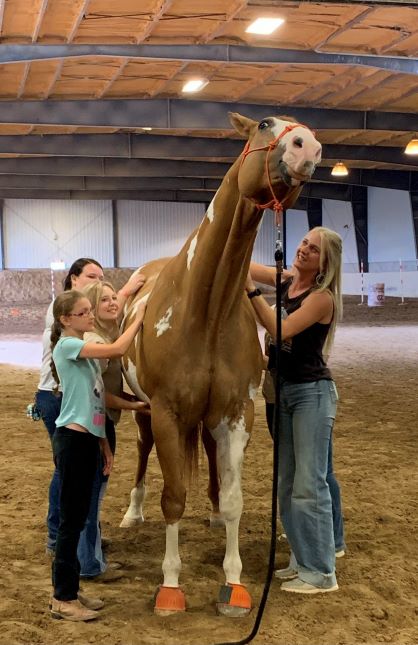 EC Video of the Day – From Show Horse to Therapy Horse
