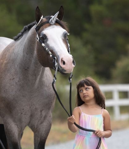 EC Blog: (Never want to) Own A Pony Experience Day