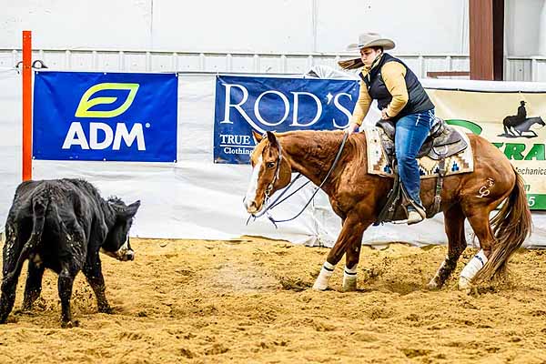 Around the Rings – 2024 MC Cutters NCHA Championship Show