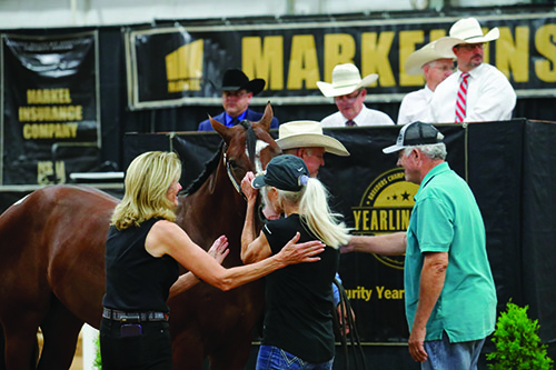 Consign to the 12th Annual NSBA Markel BCF Yearling Sale