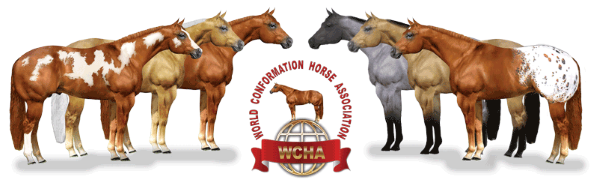 WCHA Accepting Applications for Specialized Halter Judges