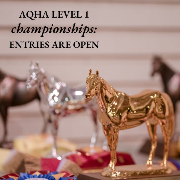 Entries for the AQHA Level 1 Championships Are Now Open