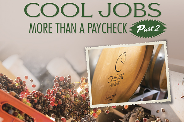Cool Jobs – More Than A Paycheck – Part Two