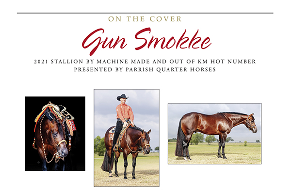 On The Cover – Gun Smokke