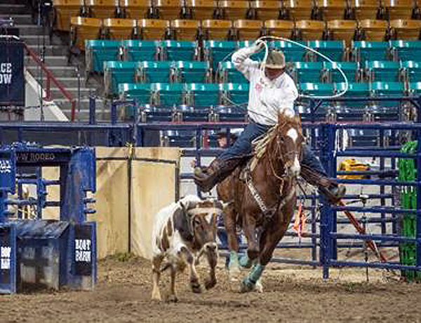 Around the Rings – 2024 National Western Stock Show – AQHA & APHA Show