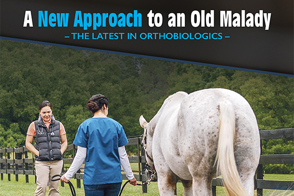 A New Approach To An Old Malady: The Latest In Orthobiologics