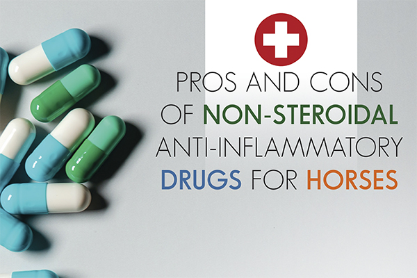 Pros And Cons Of Non-Steroidal Anti-inflammatory Drugs For Horses