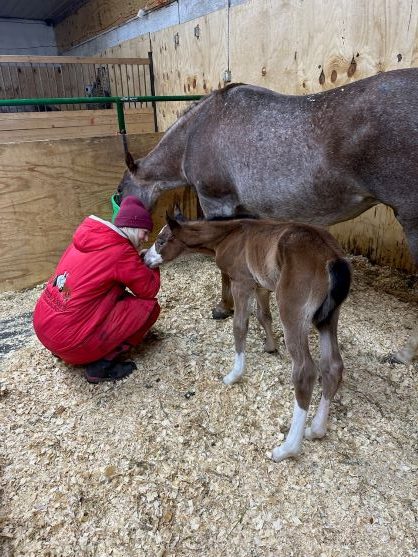 EC Foal Photo of the Day – The Beginning of All Things