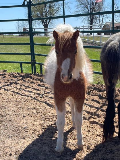 EC Foal Photo of the Day – We’re Shocked It’s Already Monday!