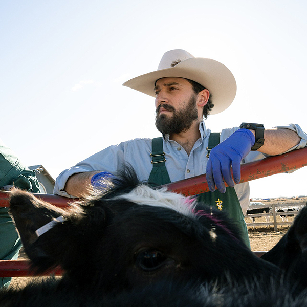 State of Colorado Veterinary Loan Forgiveness Program Selects Six Recipients