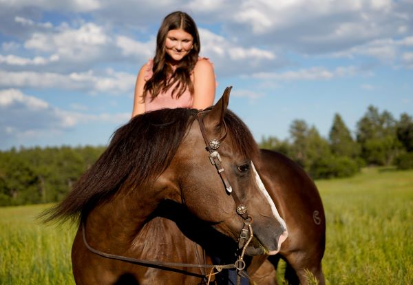 EC Photo of the Day – A Horse Is A Beautiful Animal