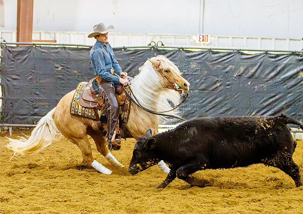 Around the Rings – 2024 Luck of the Irish NCHA Cutting Show