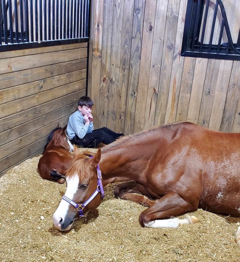 EC Foal Photo of the Day – No Doubt We’re Exhausted!