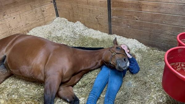 EC Photo of the Day – A Nap Is Always A Good Idea