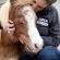 ASPCA Helps Equines Find Homes During Fourth Annual Adopt a Horse Month