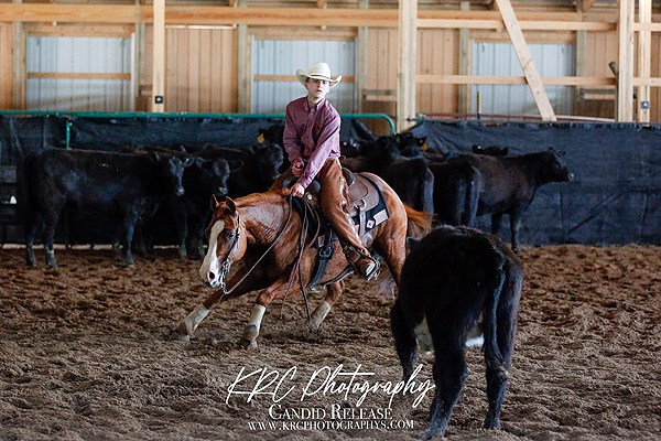Around the Rings – Great Lakes Cutting Horse Association Mother’s Day Show