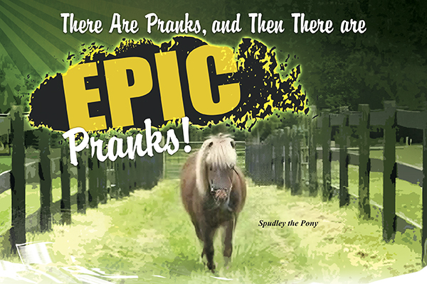 There Are Pranks, And Then There Are Epic Pranks!