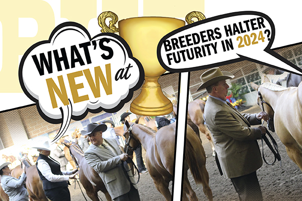 What’s New At Breeders Halter Futurity In 2024?