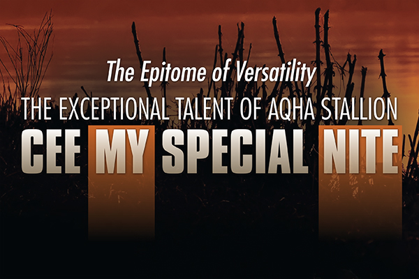The Exceptional Talent Of AQHA Stallion Cee My Special Nite