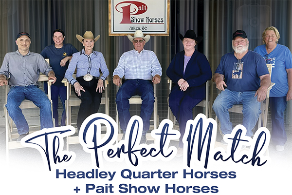 The Perfect Match: Headley Quarter Horses + Pait Show Horses