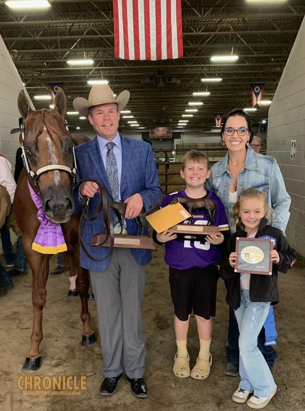 Josh Weakly and Hippiesandkowboys Take Amateur Grand Champion Stallions At Congress