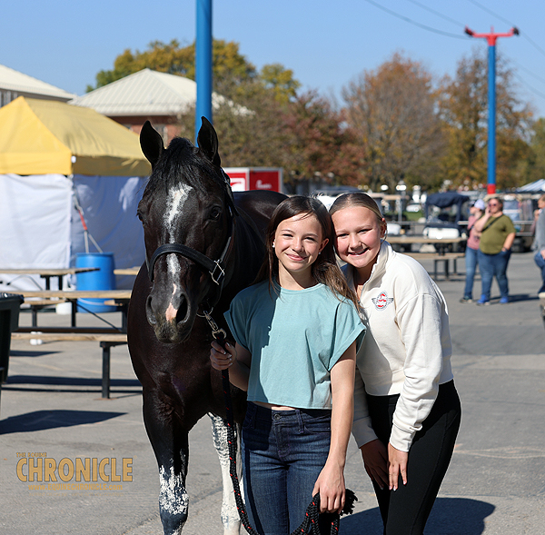 More Around the Rings – 2024 All American Quarter Horse Congress