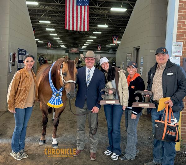 SS Wrecking Ball and Alex Dorsey Take First Horse Show Win At Congress in Amateur Performance Stallions
