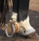 APHIS Shares Update on 2025 Horse Show Season