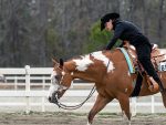 Around the Rings – 2025 Palmetto Paint Horse Club March Madness
