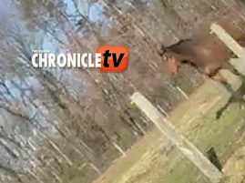 EC Video of the Day – Retirement is Sweet