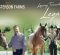 Loping Toward Legacy – Masterson Farms Loping Toward Legacy – Masterson Farms