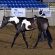 Dispersal Featured in May Internet Auction