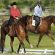 Individual Grants to Be Awarded from The Dressage Foundation’s Lynn Palm Western Dressage Fund