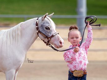 Around the Rings – 2025 High Desert PtHA Mother’s Day Show