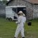Three Beloved Rodeo Horses Killed in Bee Attack; Owners Stung, Comanche VFD Says