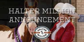 2025 APHA/WCHA Halter Million Features $1.4M in Cash and Prizes