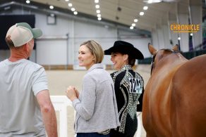 EC Photo of the Day – Horse Show Friends Are The Best