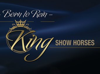 Born To Reign: King Show Horses