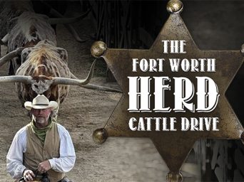 The Fort Worth Herd Cattle Drive