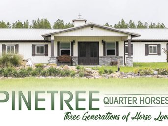 Pinetree Quarter Horses: Three Generations Of Horse Lovers