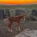 EC Foal Photo of the Day – Meet Cash!