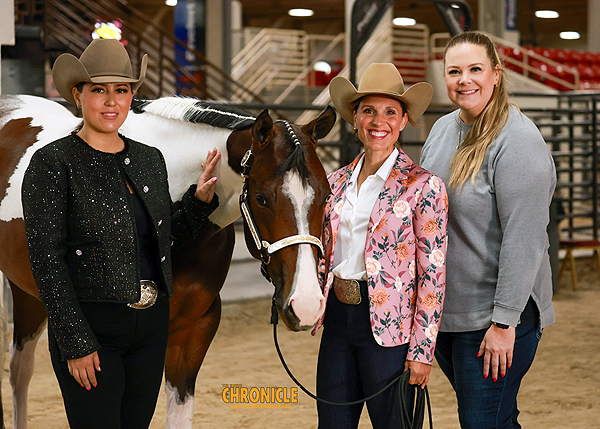 Around the Rings – APHA Zone 2 Show