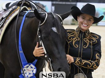 Katie Green and All Nett Slam Dunk The Madness Novice Horse Slot