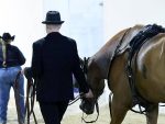 Around the Rings – APHA Zone 2 Show