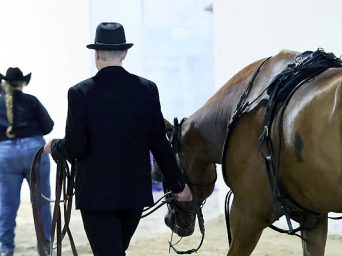 Around the Rings – APHA Zone 2 Show
