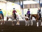 Around the Rings – 2025 Florida Color Horse Club Gator Classic